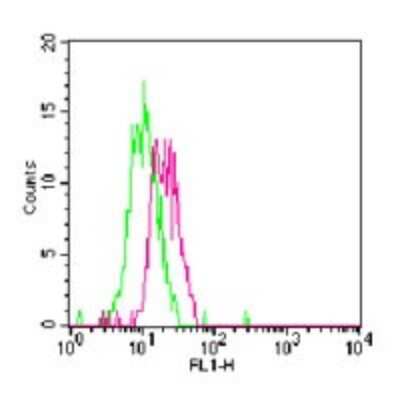 Flow Cytometry: TLR7 Antibody [FITC] [NBP2-24777] - Analysis of TLR7 in Balb/c mouse splenocytes using this antibody. Green represents rabbit IgG isotype control ; red represents anti-TLR7 antibody.